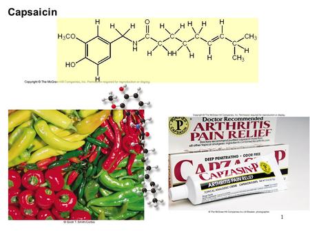 1 Capsaicin. 2 Chapter 2 ACIDS and BASES 3 Definitions of Acid-Base Arrhenius : acid dissociates in aqueous solution to form H 3 O + base dissociates.