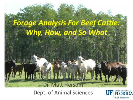 Forage Analysis For Beef Cattle: Why, How, and So What Dr. Matt Hersom Dept. of Animal Sciences.