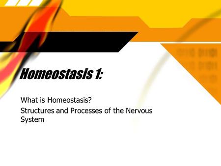 Homeostasis 1: What is Homeostasis? Structures and Processes of the Nervous System What is Homeostasis? Structures and Processes of the Nervous System.