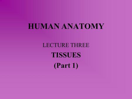 HUMAN ANATOMY LECTURE THREE TISSUES (Part 1). TISSUES Classification based on structure of the cells, cell function, and composition of the extracellular.