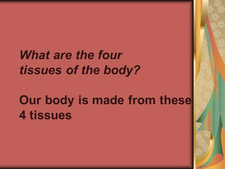 What are the four tissues of the body? Our body is made from these 4 tissues.