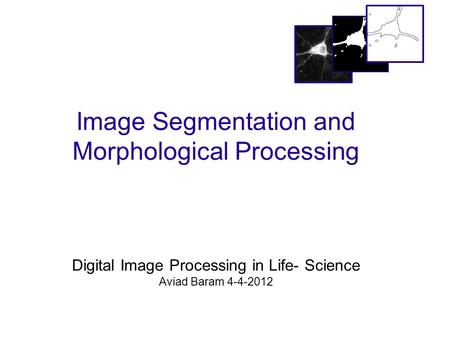 Image Segmentation and Morphological Processing Digital Image Processing in Life- Science Aviad Baram 4-4-2012.