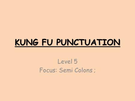 Level 5 Focus: Semi Colons ;