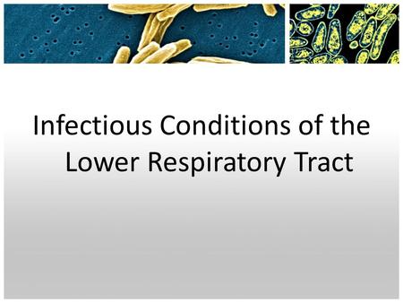 Infectious Conditions of the Lower Respiratory Tract.