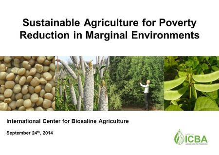 Sustainable Agriculture for Poverty Reduction in Marginal Environments International Center for Biosaline Agriculture September 24 th, 2014.