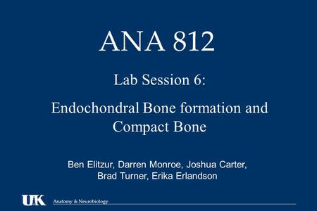 Anatomy & Neurobiology ANA 812 Lab Session 6: Endochondral Bone formation and Compact Bone Ben Elitzur, Darren Monroe, Joshua Carter, Brad Turner, Erika.