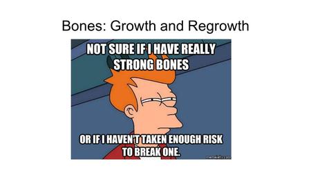 Bones: Growth and Regrowth. Bone Development The process of bone development is similar to the process of bone healing Specifically, one of the two types.