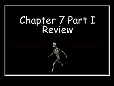 Chapter 7 Part I Review. These bones form from patterns made of hyaline cartilage. a.Endochondral b.Intramembranous.