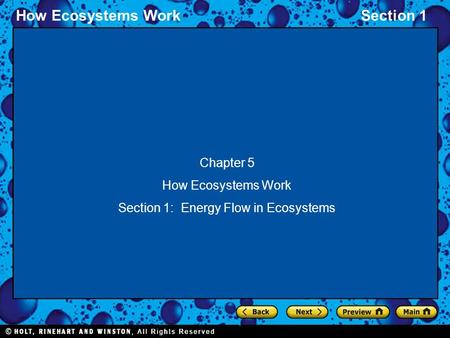 Section 1: Energy Flow in Ecosystems