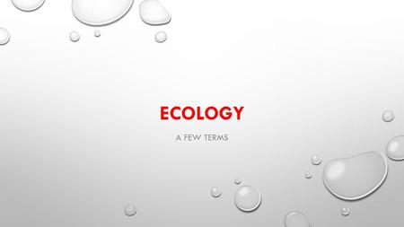 ECOLOGY A FEW TERMS. BIOTIC FACTORS The things that are living, or that came from living things EXAMPLES: Plants Animals Bacteria Fungus (mushrooms, yeasts)