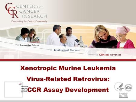 Xenotropic Murine Leukemia Virus-Related Retrovirus: CCR Assay Development.