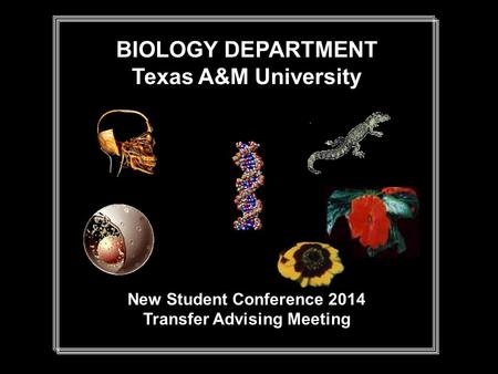 BIOLOGY DEPARTMENT Texas A&M University New Student Conference 2014 Transfer Advising Meeting.