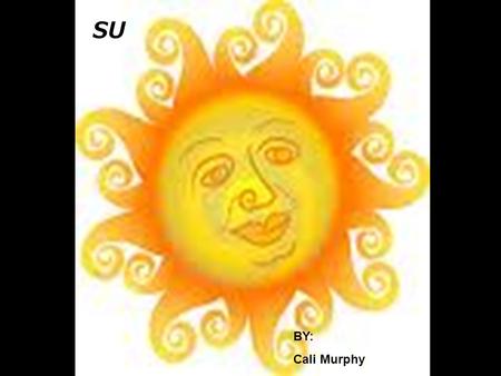 SU N BY: Cali Murphy. THE SUN HAS LAYERS!? WIKI-WIKI-WHATTTTTT?!?! NO! not those layers! These layers!!!