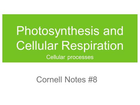 Photosynthesis and Cellular Respiration