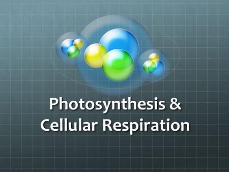 Photosynthesis & Cellular Respiration. Sept. 25, 2014 Bellringer Name the parts of the flower a.b.c.d.