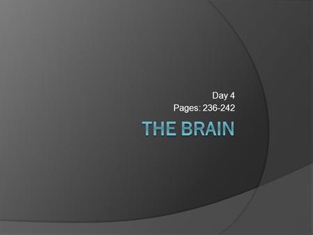 Day 4 Pages: 236-242. How many neurons?  About 100 billion multipolar neurons  Innumberable nerve fibers Allow the neurons to communicate with one another.