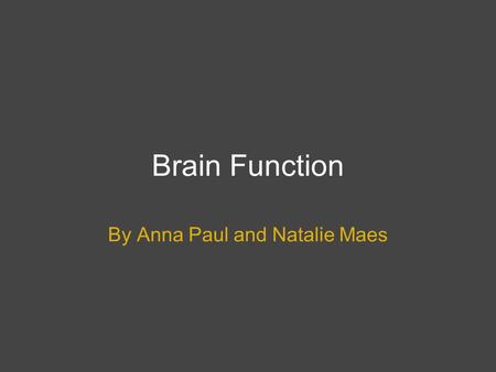 Brain Function By Anna Paul and Natalie Maes. The Three Parts of the Brain The adult brain is composed of three major divisions: the Cerebrum, Cerebellum.