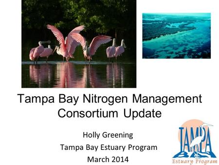 Tampa Bay Nitrogen Management Consortium Update Holly Greening Tampa Bay Estuary Program March 2014.