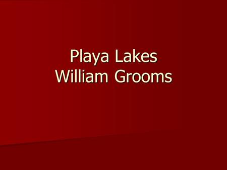 Playa Lakes William Grooms. What are Playa Lakes? shallow, depressional wetlands that are generally round and small, shallow, depressional wetlands that.