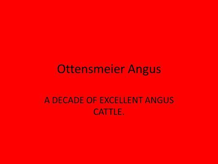 Ottensmeier Angus A DECADE OF EXCELLENT ANGUS CATTLE.