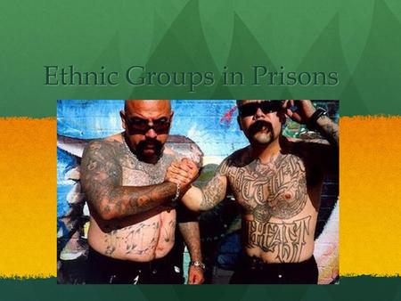 Ethnic Groups in Prisons. What is this about? We look at the inside functions of different ethnic groups in prisons and their transformation into a gangs.