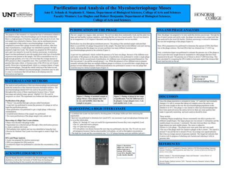 Purification and Analysis of the Mycobacteriophage Moses Amy E. Schade & Stephanie E. Simon, Department of Biological Sciences, College of Arts and Sciences.