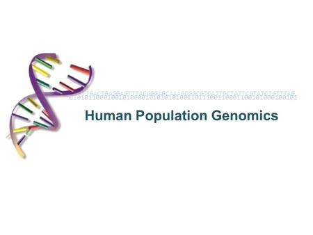 010101100010010100001010101010011011100110001100101000100101 Human Population Genomics ACGTTTGACTGAGGAGTTTACGGGAGCAAAGCGGCGTCATTGCTATTCGTATCTGTTTAG.