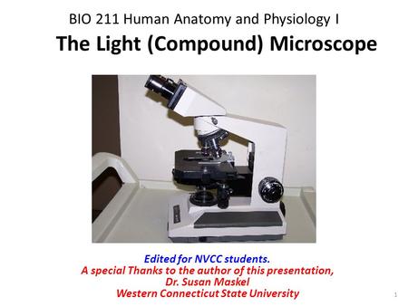 BIO 211 Human Anatomy and Physiology I