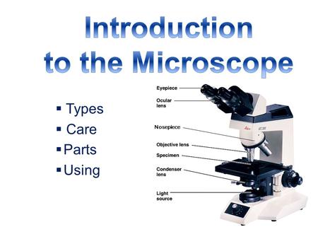 Introduction to the Microscope