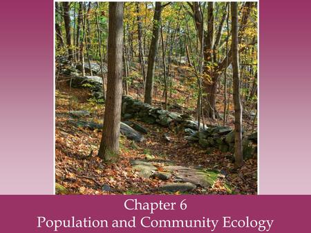 Population and Community Ecology