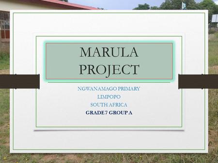 MARULA PROJECT NGWANAMAGO PRIMARY LIMPOPO SOUTH AFRICA GRADE 7 GROUP A.