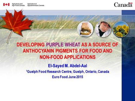 1 DEVELOPING PURPLE WHEAT AS A SOURCE OF ANTHOCYANIN PIGMENTS FOR FOOD AND NON-FOOD APPLICATIONS El-Sayed M. Abdel-Aal 1 Guelph Food Research Centre, Guelph,