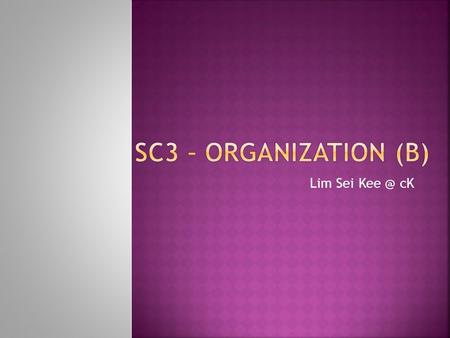 Lim Sei cK. A – Public sector Government B – Private sector Brunei Shell Petroleum, Datastream Technology Sdn Bhd, QAF Brunei.