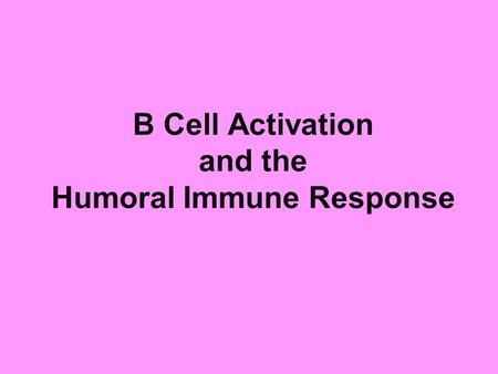 B Cell Activation and the Humoral Immune Response