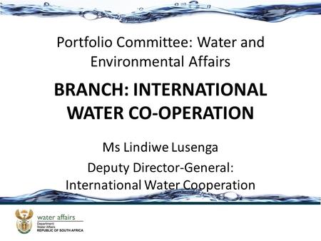 BRANCH: INTERNATIONAL WATER CO-OPERATION