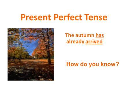 Present Perfect Tense The autumn has already arrived How do you know?