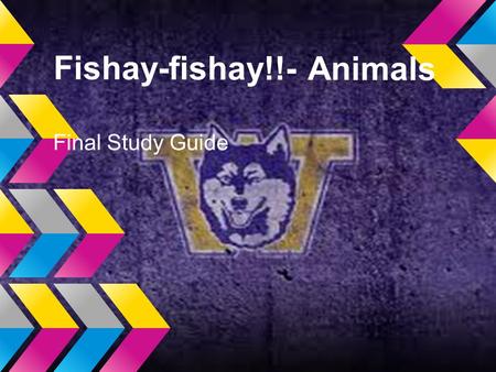 Fishay-fishay!!- Animals Final Study Guide. Amphibians Trevor Morera.