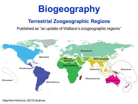 Map from Holt et al. (2013) Science Terrestrial Zoogeographic Regions Published as “an update of Wallace’s zoogeographic regions” Biogeography.