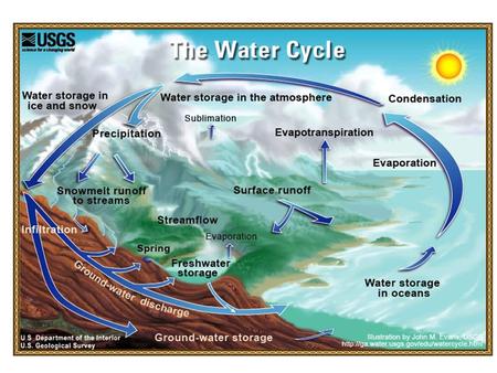 Movement of water Precipitation driven by gravity Evaporation driven by solar heating and wind Transpiration driven by solar heating, wind, root pressure,