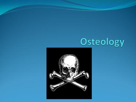 Functions of the Skeleton 1. Protection Protect vital and delicate soft-tissue structures from injury. Skull and the rib cage.