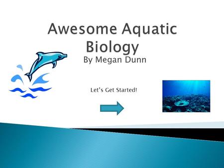 By Megan Dunn Let’s Get Started!.  Think to yourself or talk to your partner about all the times you’ve been to the beach, ocean or aquarium!  Did you.