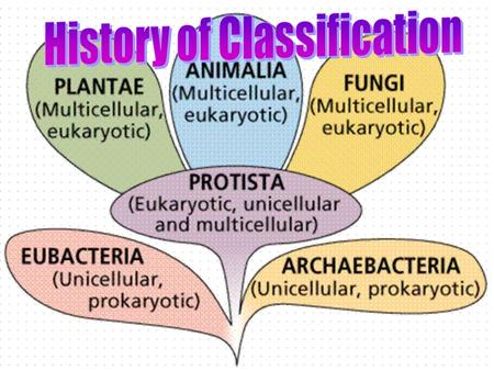 History of Classification