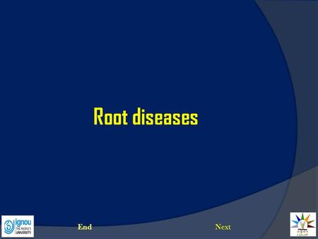 Root diseases End Next.