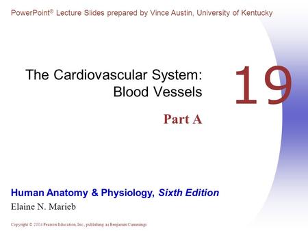 Copyright © 2004 Pearson Education, Inc., publishing as Benjamin Cummings Human Anatomy & Physiology, Sixth Edition Elaine N. Marieb PowerPoint ® Lecture.