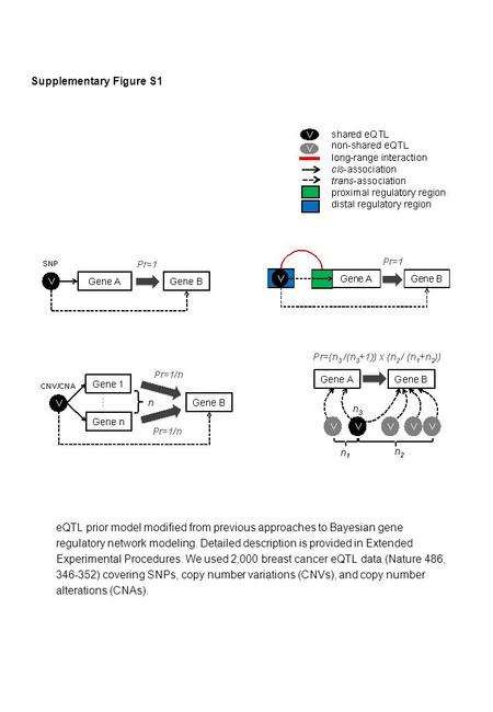 Supplementary Figure S1 eQTL prior model modified from previous approaches to Bayesian gene regulatory network modeling. Detailed description is provided.