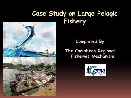 Case Study on Large Pelagic Fishery Completed By The Caribbean Regional Fisheries Mechanism.