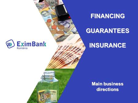 FINANCING GUARANTEES INSURANCE Main business directions.