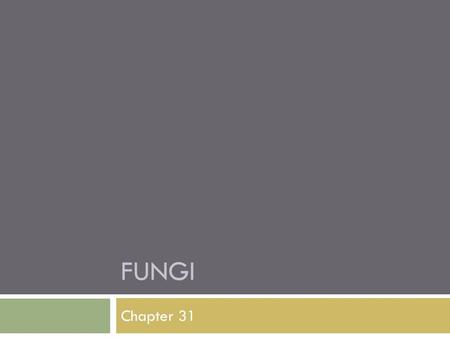 FUNGI Chapter 31. The Little Known Fungi  100,000 species known, 1.5 million unknown (estimate)  Some are single-celled (yeast), but most multicelled.