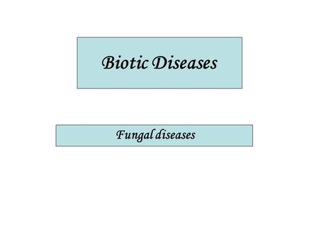 Biotic Diseases Fungal diseases.