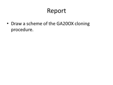 Report Draw a scheme of the GA20OX cloning procedure.